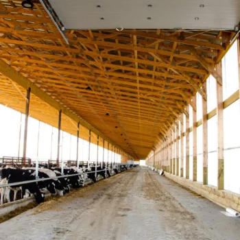 Feitsma Barn